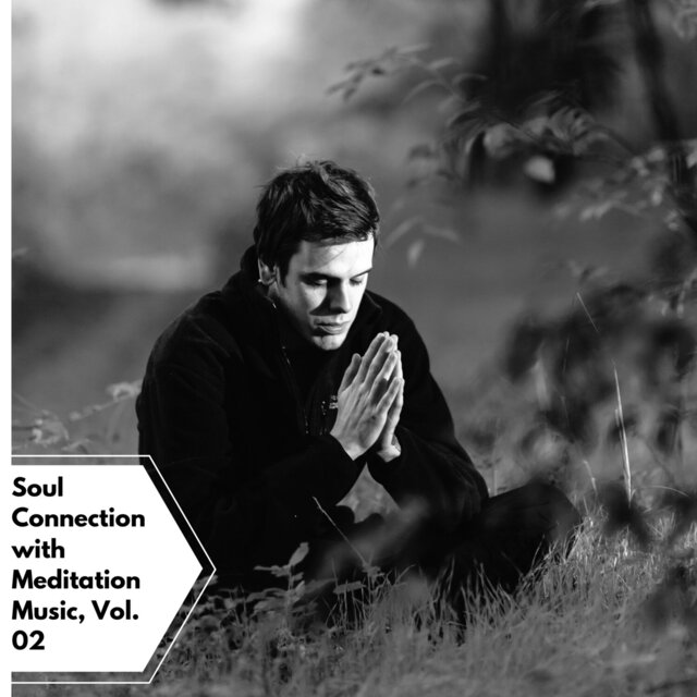 Soul Connection with Meditation Music, Vol. 02