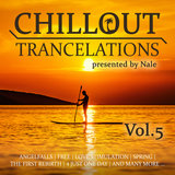 I Can't Stop Raving (Chillout Trancelations Version)