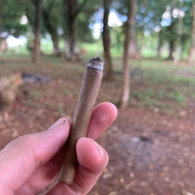 Andamo’ Elegante