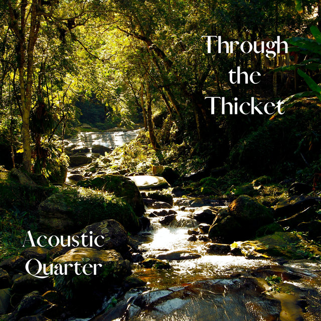 Through the Thicket
