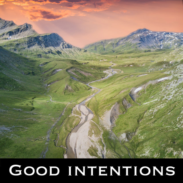 Good Intentions
