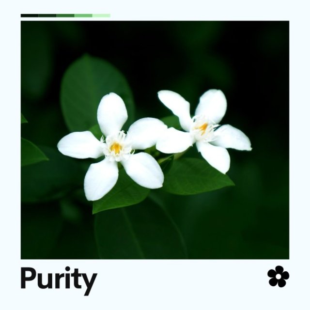 Purity