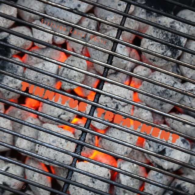 Sizzling Grill Noise