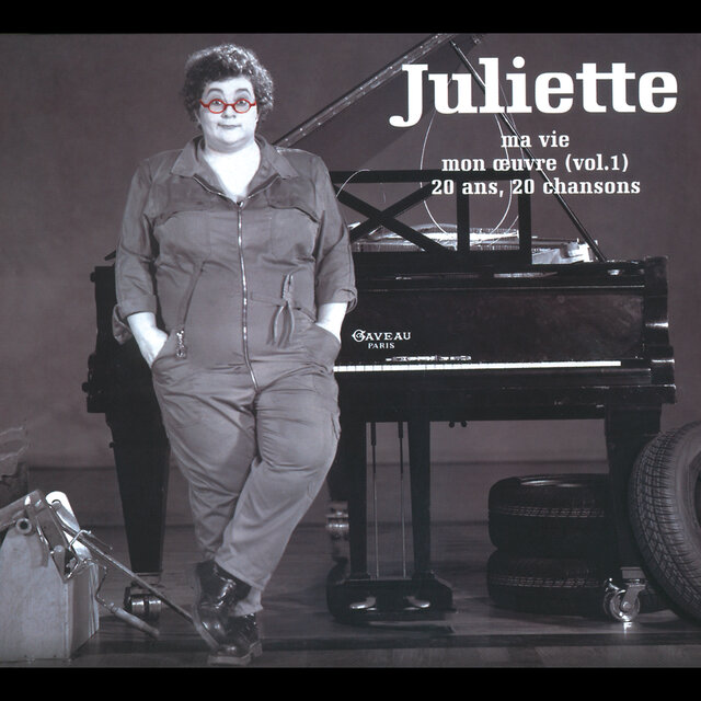 Ma Vie Mon Oeuvre (Vol.1) 20 Ans 20 Chansons