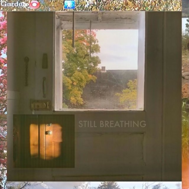 Still Breathing