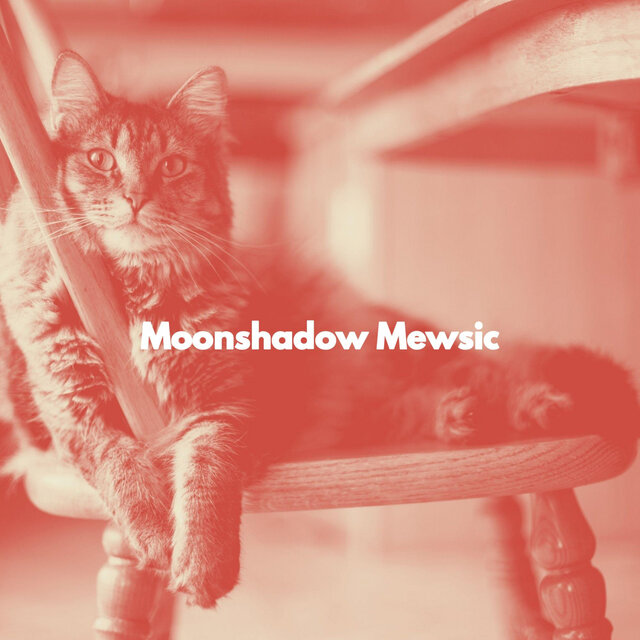 Moonshadow Mewsic