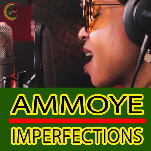 Imperfections (Reggae Remix) [feat. Ammoye]