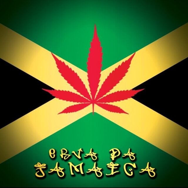 Erva da Jamaica