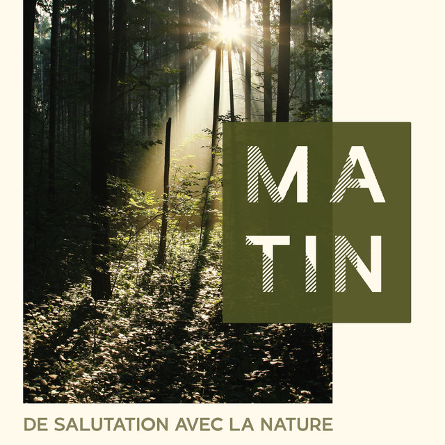 Matin de salutation avec la nature - Méditation et une journée de détente parfaite