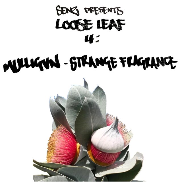 Strange Fragrance (feat. Mulligvn)