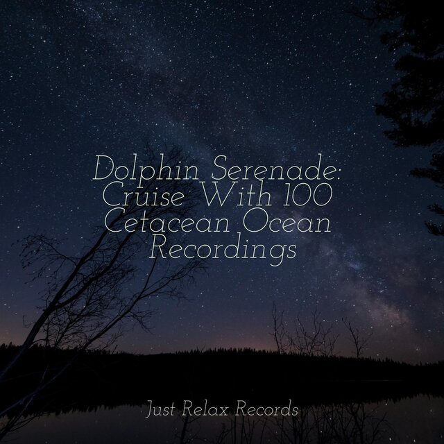 Dolphin Serenade: Cruise With 100 Cetacean Ocean Recordings