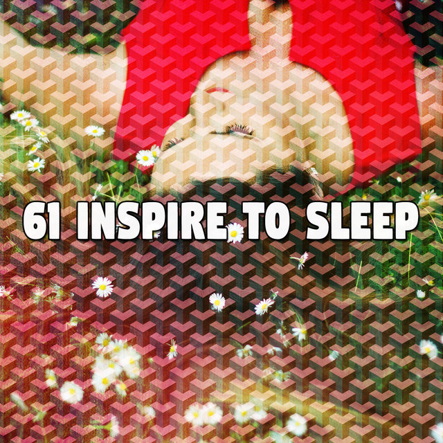 61 Inspire To Sleep