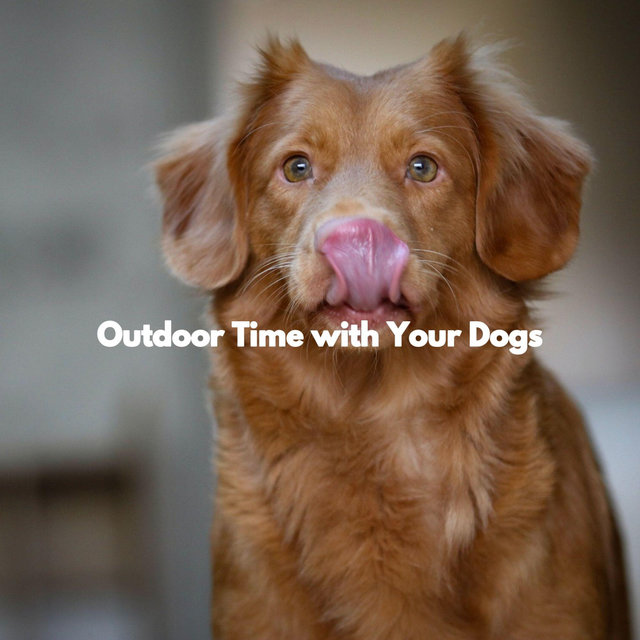 Outdoor Time with Your Dogs