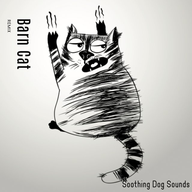 Barn Cat (Remix)