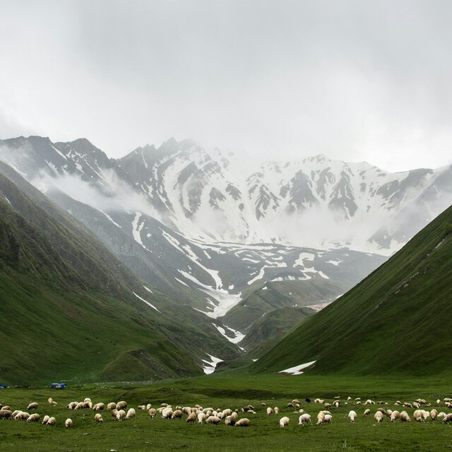 The Valley