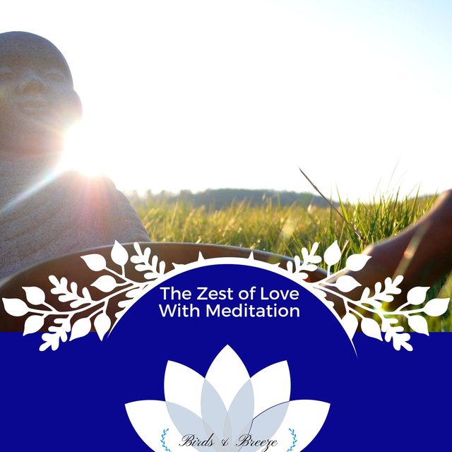 The Zest Of Love With Meditation