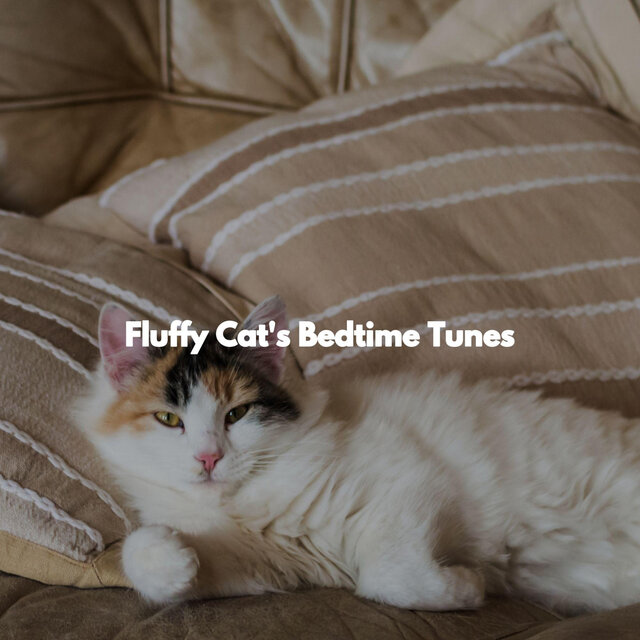 Fluffy Cat's Bedtime Tunes