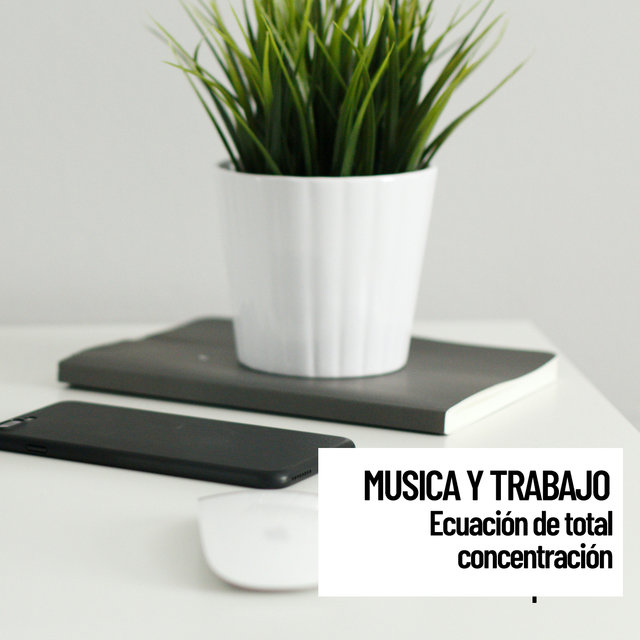 Relajacion: Sonidos Musica y trabajo: Ecuacion de total concentracion