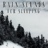 Rain To Sleep To