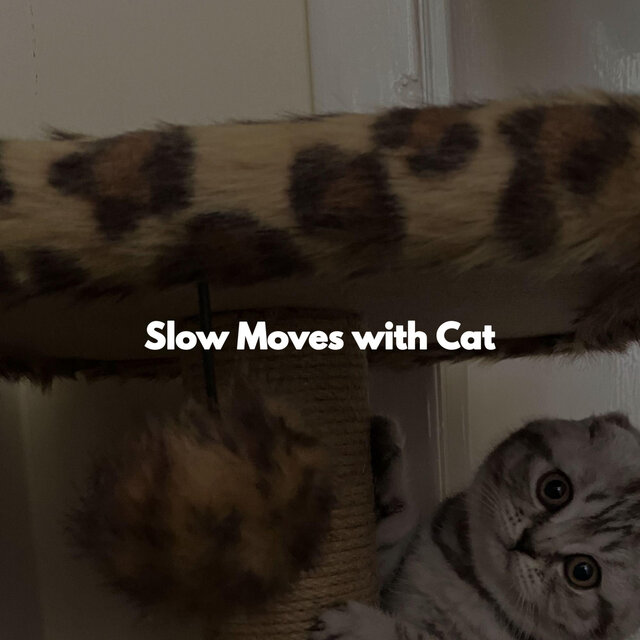 Slow Moves with Cat