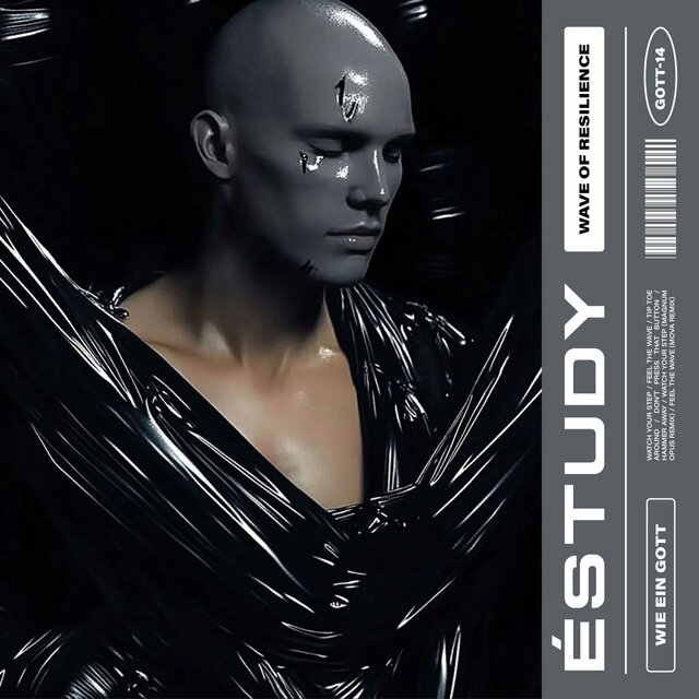 Cover art for album Wave Of Resilience by éstudy