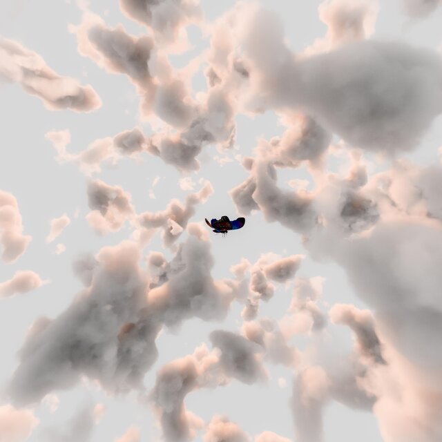 Soaring