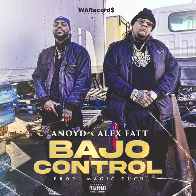 Bajo Control