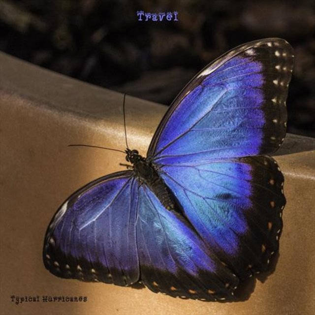 Travel