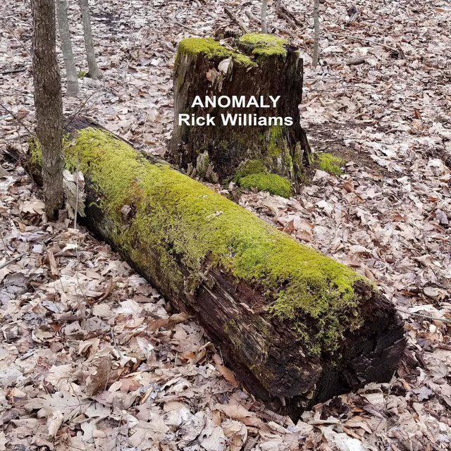 Anomaly