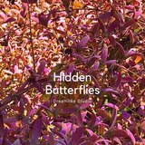 Hidden Butterflies