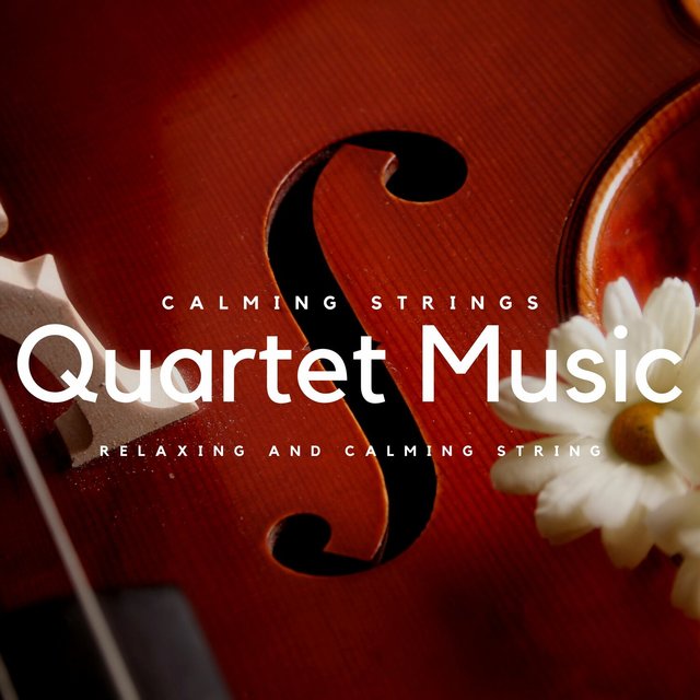 Relaxing and Calming String Quartet Music