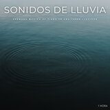 Sonidos De Lluvia: Hermosa Música De Piano En Una Tarde Lluviosa - 1 Hora