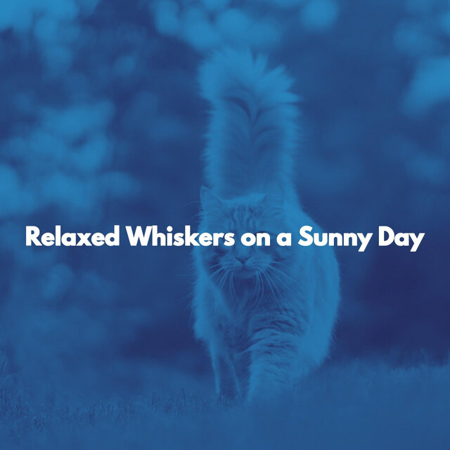Relaxed Whiskers on a Sunny Day