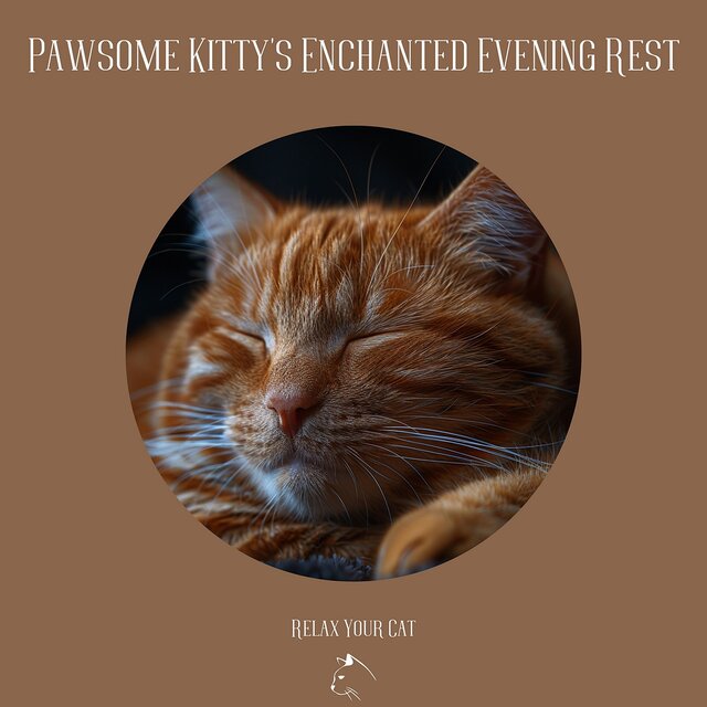 Pawsome Kitty's Enchanted Evening Rest