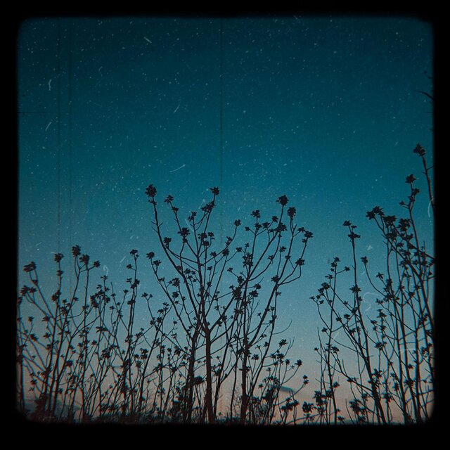 Momente