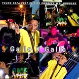 Gallo X Gallo