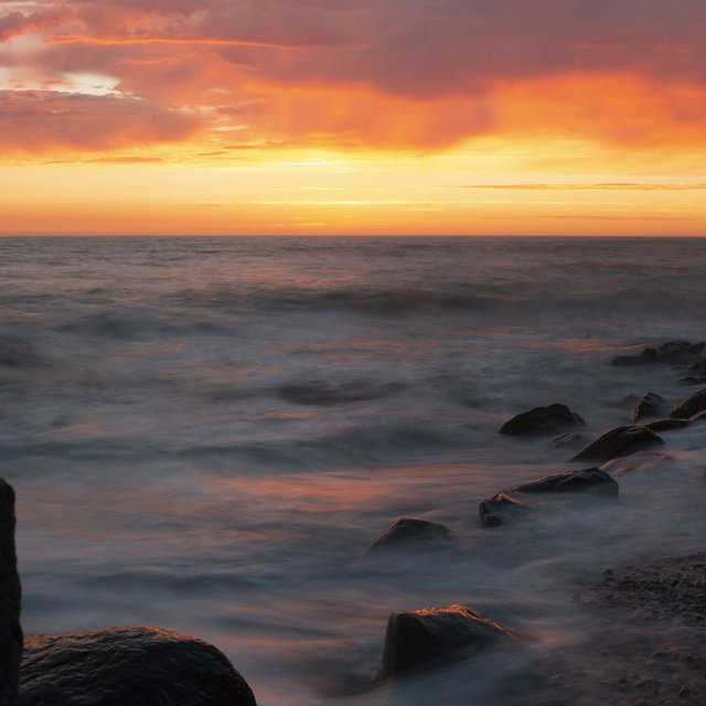 The Art of Wellness (Meditation)