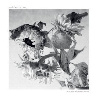 And Also the Trees - TIDAL