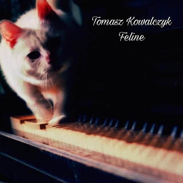 Feline