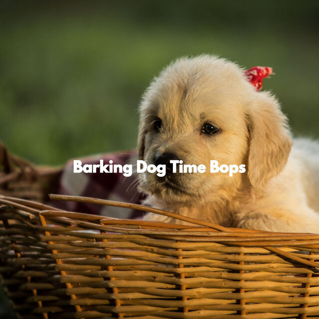 Barking Dog Time Bops