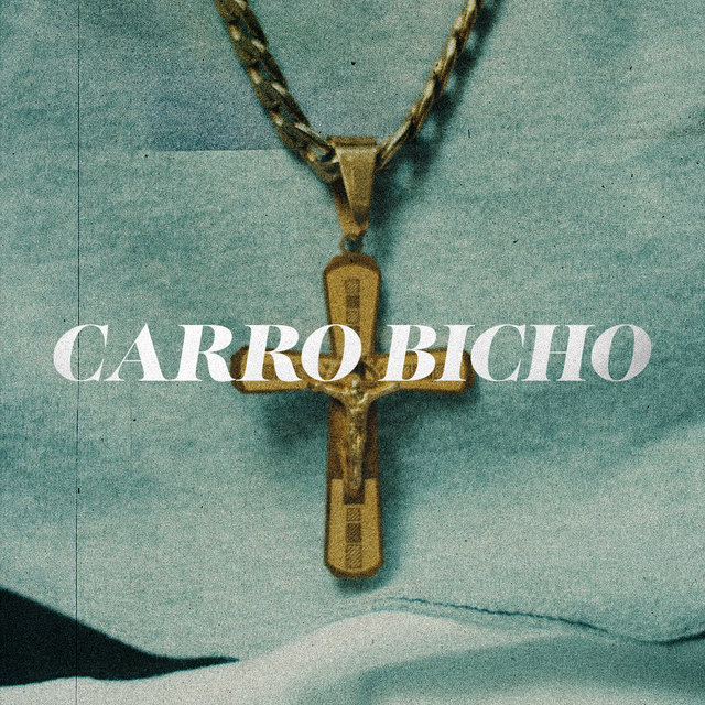Carro Bicho