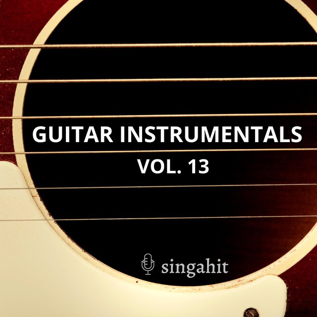 Guitar Acoustic Instrumentals, Vol. 13