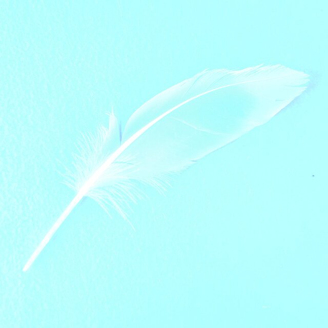 Sous la plume