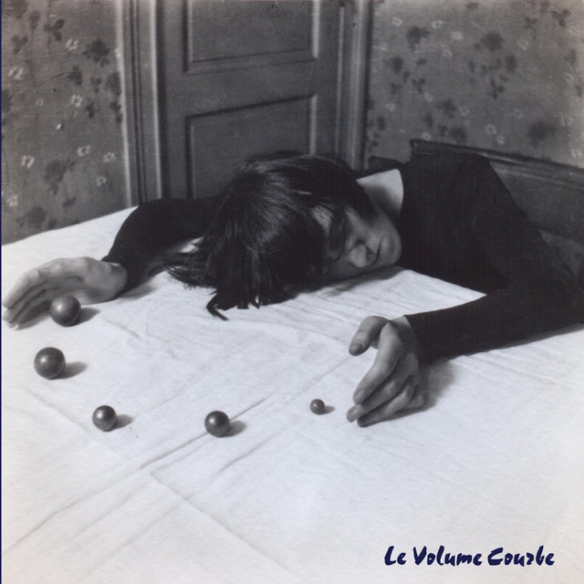 Cover art for album I Wish Dee Dee Ramone Was Here with Me by Le Volume Courbe