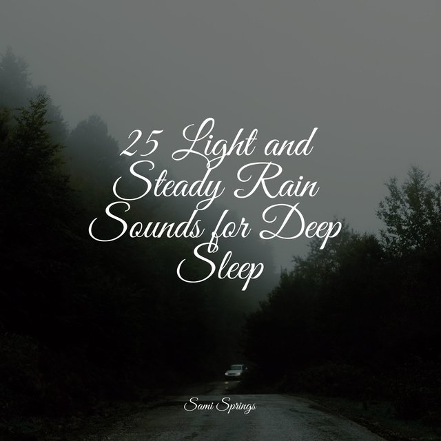 25 Light and Steady Rain Sounds for Deep Sleep