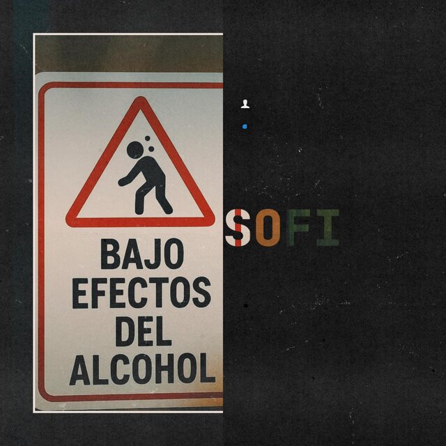 Bajo Efectos Del Alcohol
