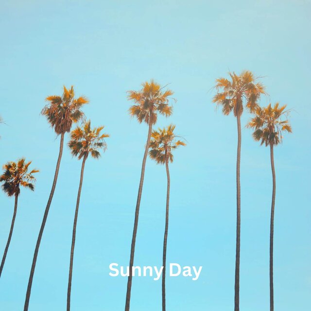 Sunny Day