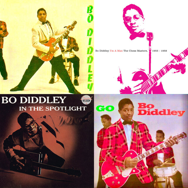 Cover art for album The Beast of Bo Diddley by User
