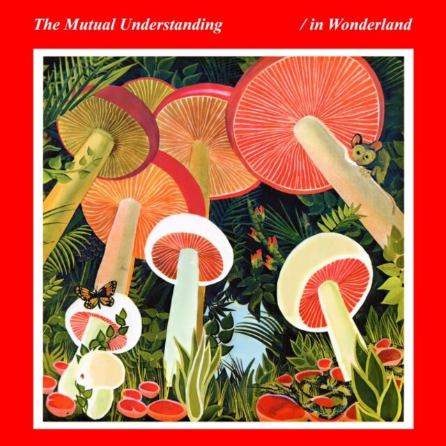In Wonderland