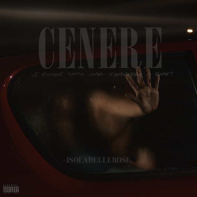 CENERE (se finisse tutto cosa c'andrebbe di fare?)